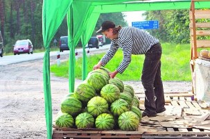 Жителей Молдовы просят не покупать херсонские арбузы вдоль дорог
