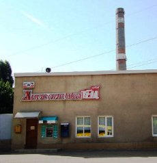 Азаров дал поручение готовить Херсонскую ТЭЦ к приватизации