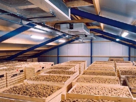 На Херсонщине строят крупнейшее в Европе картофелехранилище