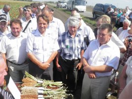 Удельный вес АПК Херсонщины в сельском хозяйстве Украины составляет 4,4%