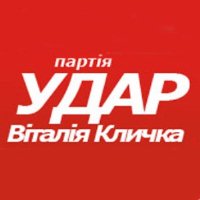 В День Независимости УДАРовцы чистили Херсон