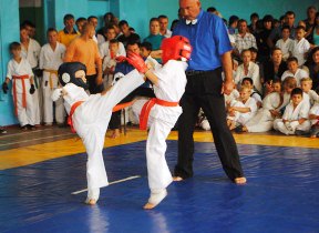 В Цюрупинске прошел чемпионат области по киокушин карате