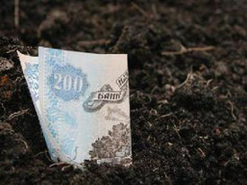 На Херсонщине арендаторы государственных сельхозугодий оплатили свыше 62% арендной платы