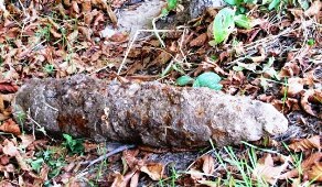 В заповеднике "Аскания-Нова" ботаники обнаружили артиллерийские снаряды