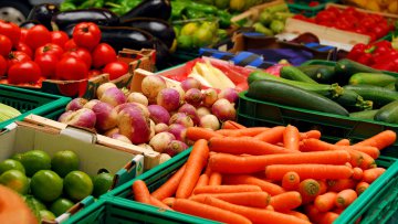 В Херсонской области нынешний урожай овощей превысил прошлогодний почти на 20% - ОГА