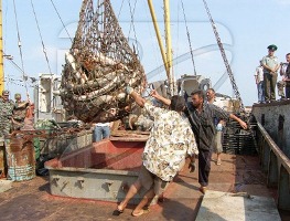 На Херсонщине создают межрегиональный рыбопромышленный консорциум
