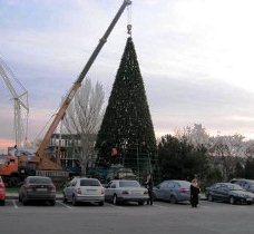 Установка новогодней елки обойдется херсонцам почти в 100 тыс. грн