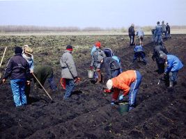 В Скадовске милиция прикрывала рабовладельцев