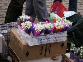 Мэрия Херсона проводит рейды по рынкам в поисках торговцев первоцветами
