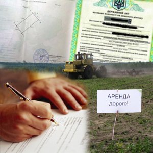 Земельный законопроект об аренде должен сначала обсуждаться с фермерами – Путилов