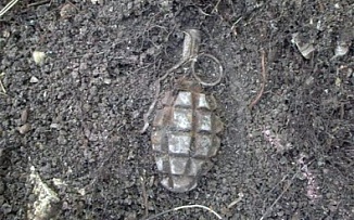 В Цюруписнком районе возле кладбища нашли гранату