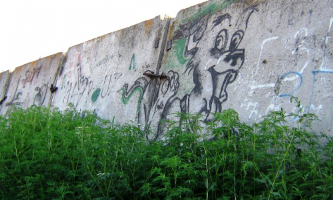В Каховке объявили войну амброзии и граффити