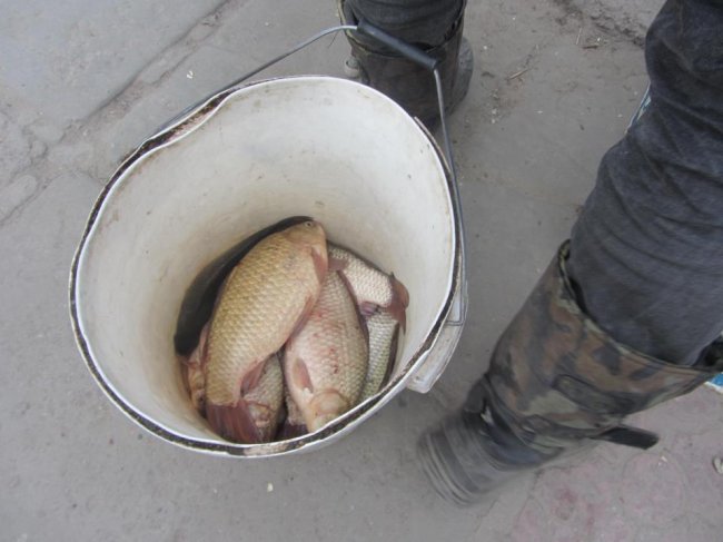 В Херсоне процветает торговля браконьерской рыбой