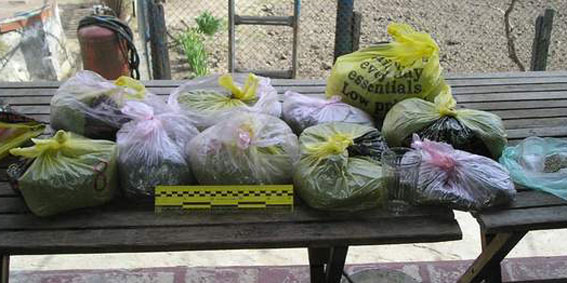 В Каховке милиция изъяла у местного наркомана 20 килограмм конопли