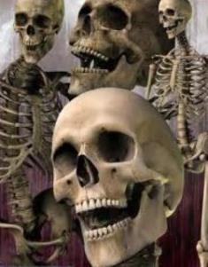 В подвале частного дома в Голой Пристани нашли скелетированный труп