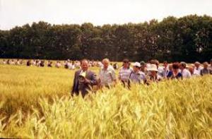В Каховском районе иностранцы провели День поля