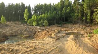 В Новой Каховке свой песчаный скандал: вместо леса будет карьер
