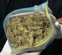 В Херсоне милиция конфисковала 1,5 кг наркотиков