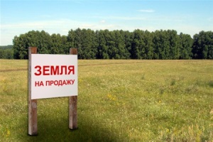 За месяц в области продали права аренды земли на 24 тыс. грн.