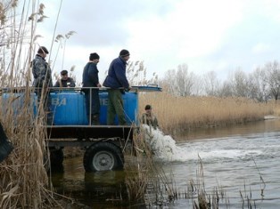 Нынешней осенью в низовья Днепра выпустят еще 2,25 млн. двухлеток и однолеток промышленнх пород рыбы
