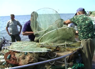 За незаконное рыболовство в водах Днепра осуждены 342 браконьера
