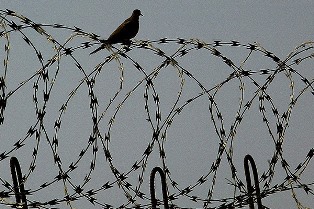 Херсонкие сотрудники СБУ разоблачили противоправную деятельность тюремщицы из туберкулезной колонии