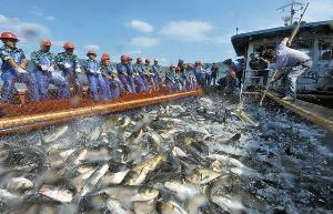 За год херсонцы выловили почти 3 тыс. тонн рыбы