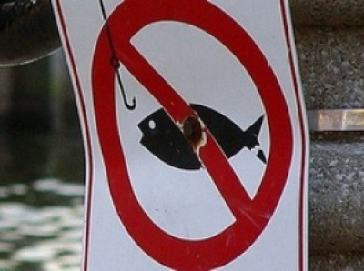 Запрет на лов рыбы в Херсонско области начнется с 20 ноября, - Херсонрыбохрана