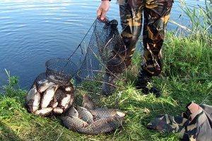 Генические браконьеры наловили рыбы на 5 тыс. гривен