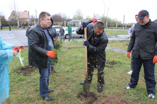 В рамках акции «Сделаем Украину чистой» возле облдиспансера высадили более 200 деревьев