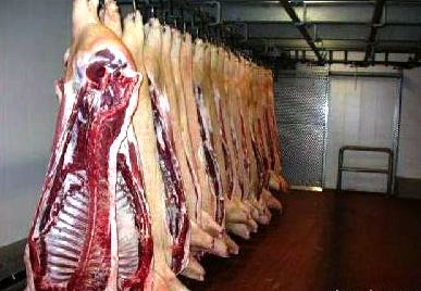 Аграрии Херсонщины увеличивают выпуск продукции животноводства, но сокращают поголовье скота