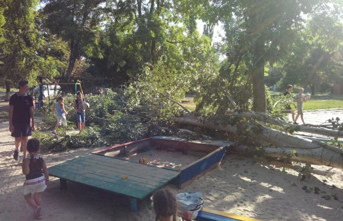 В Херсоне на детскую площадку упало дерево