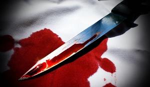 В Чаплынке 24-летняя девушка подрезала своего сожителя