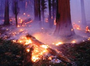 Возле Новодмитровки горел лес