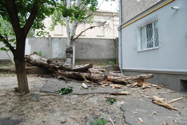 В Каховке падают тополя. Пока без жертв