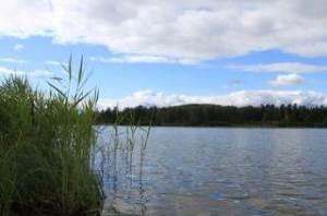 В низовьях Днепра расчистили более 15 га водорослей