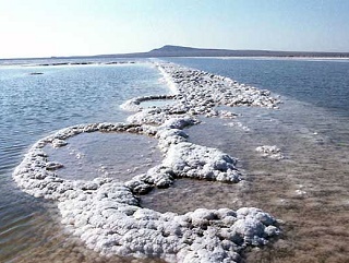 В Голопристанском районе суд вернул в госссобственность больше 60 га соляных озер