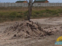 На Арабатской стрелке продолжают вывозить песок, несмотря на уголовное дело