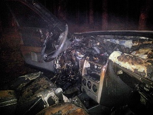 У херсонца угнали  и сожгли за городом "Lada Samara"