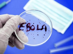 Херсонских медиков готовили к возможной встрече с лихорадкой Эбола