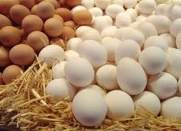 Яйца Чернобаевской птицефабрики продолжают дорожать