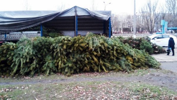 Херсонская милиция уже изъяла более 200 "левых" елок на 17 тыс. грн