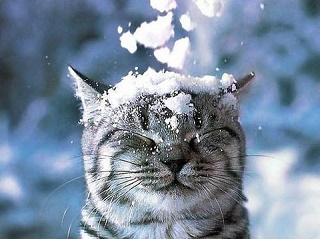 Завтра в Украину придут снег и 15-градусные морозы
