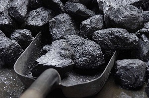 Антоновский детсад покупает уголь у менеджера фирмы Журавко, созданной за месяц до тендера