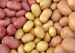 Картошку геническим школьникам купили по 7,85 грн.