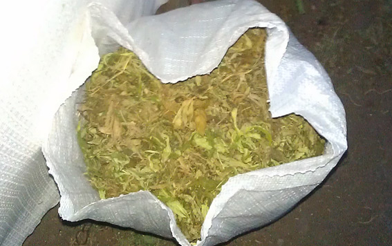 У жителя Каховского района милиция изъяла 25 кг конопли