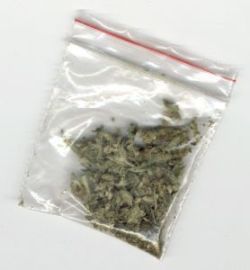 В Херсоне у двух местных жителей изъяли пакеты с марихуаной