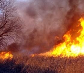 Вчерашний пожар в херсонских плавнях мог уничтожить дачные кооперативы