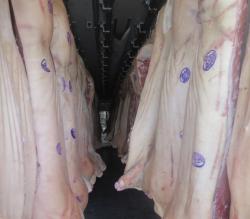 В Крым не пустили 15 тонн свинины в тушах. Оккупантам не понравились документы груза