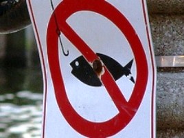 Херсонрыбохрана определила сроки весенне-летнего запрета на лов рыбы